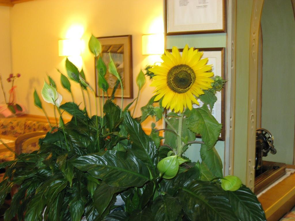 Albergo Villa Cristina Folgaria Exteriör bild